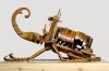 beetle-4.jpg